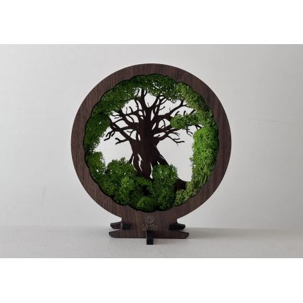 Li-Go 23604/DUB2 - Dimbare LED tafeldecoratie LED/12W/230V 20x22 cm eik/mos en boom