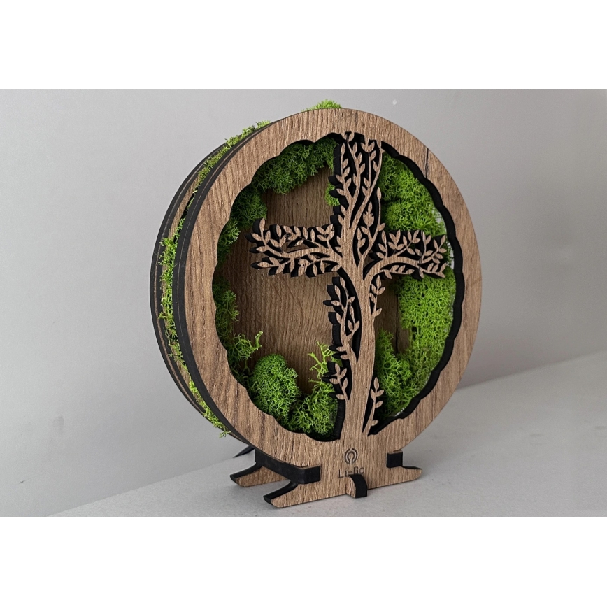 Li-Go 23622/DUB2 - Dimbare LED-tafeldecoratie LED/12W/230V 20x22 cm eiken/Kruis in mos