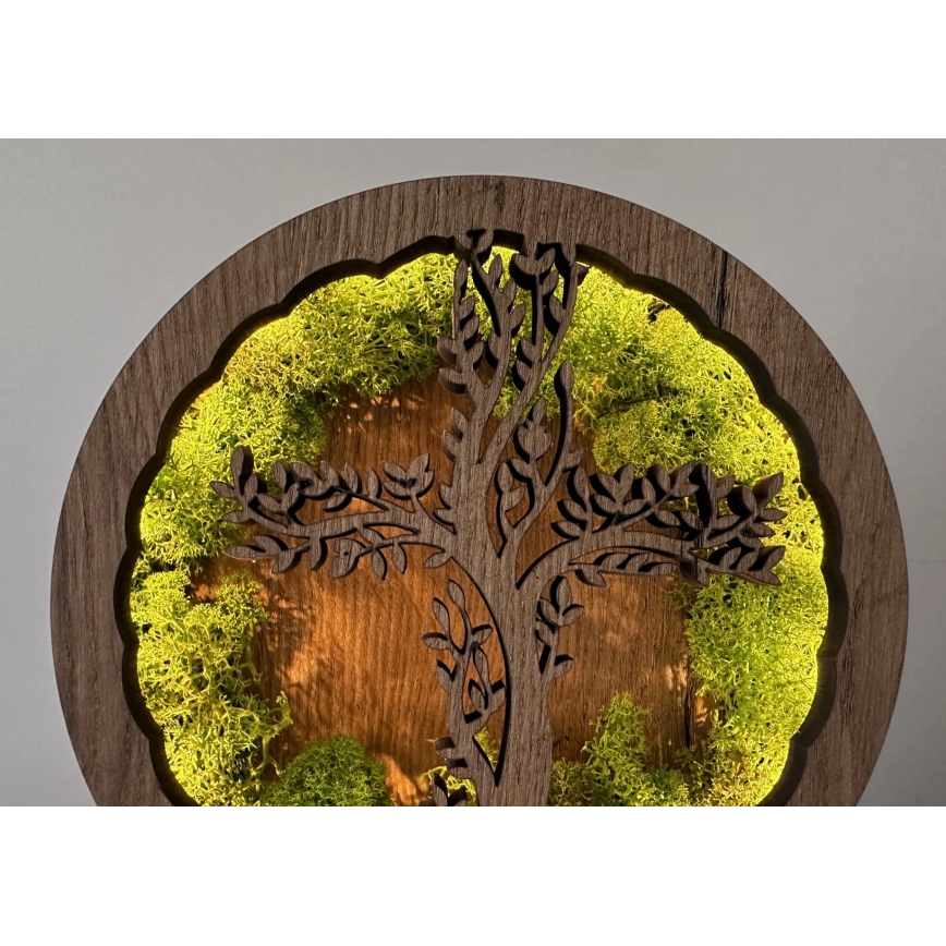 Li-Go 23622/DUB2 - Dimbare LED-tafeldecoratie LED/12W/230V 20x22 cm eiken/Kruis in mos