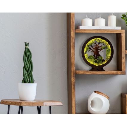 Li-Go 23631/DUB2 - dimbare LED-tafeldecoratie LED/12W/230V 30x31 cm eiken/mos en boom