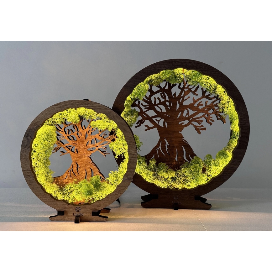 Li-Go 23631/DUB2 - dimbare LED-tafeldecoratie LED/12W/230V 30x31 cm eiken/mos en boom