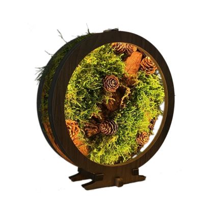 Li-Go 23654 - Dimbare LED-tafeldecoratie LED/12W/230V 20x22 cm walnoot/mosmotief