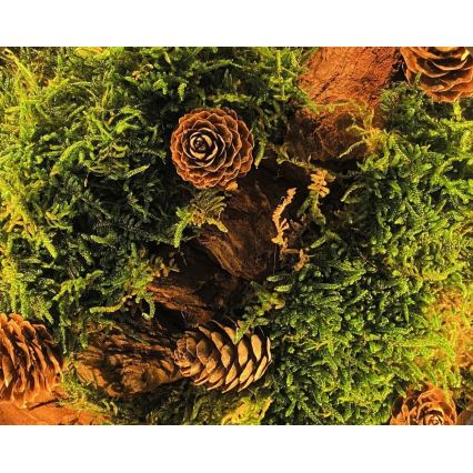 Li-Go 23654 - Dimbare LED-tafeldecoratie LED/12W/230V 20x22 cm walnoot/mosmotief