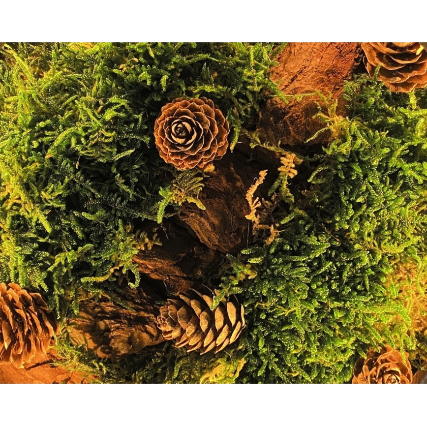 Li-Go 23654 - Dimbare LED-tafeldecoratie LED/12W/230V 20x22 cm walnoot/mosmotief