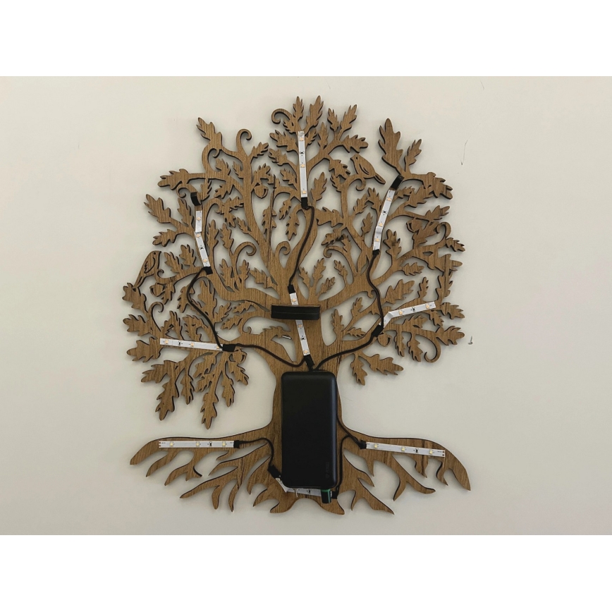 Li-Go 23673/DUB2 - Dimbare LED-wanddecoratie LED/10W/5V 20000 mAh 45x55 cm eiken + afstandsbediening