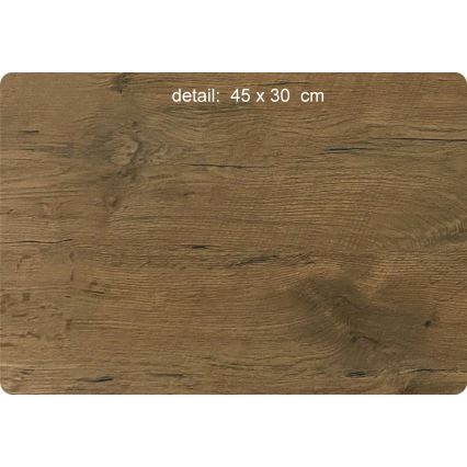 Li-Go 5589/A/DUB2 - Dimbare LED-wanddecoratie LED/10W/5V 30000 mAh 110x50 cm eiken/Bergen met vogels