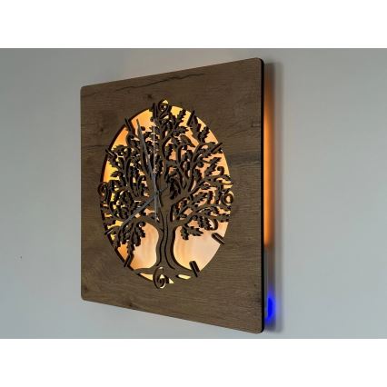 Li-Go 5652/DUB2 - LED dimbare klok LED/10W/5V 20000 mAh 42x42 cm eiken/eiken in cirkel + afstandsbediening