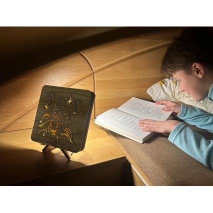 Li-Go 5788/DUB2 - LED tafeldecoratie LED/12W/230V 19x19 cm eiken/De Kleine Prins