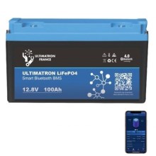 LiFePO4 batterij 12,8V/100Ah