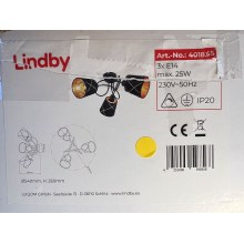 Lindby - Bevestigde hanglamp SINDRI 3xE14/25W/230V