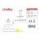 Lindby - Hanglamp aan een koord DELIRA 5xE14/40W/230V mat chroom