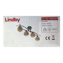 Lindby - Schijnwerper LEANDA 4xE14/40W/230V