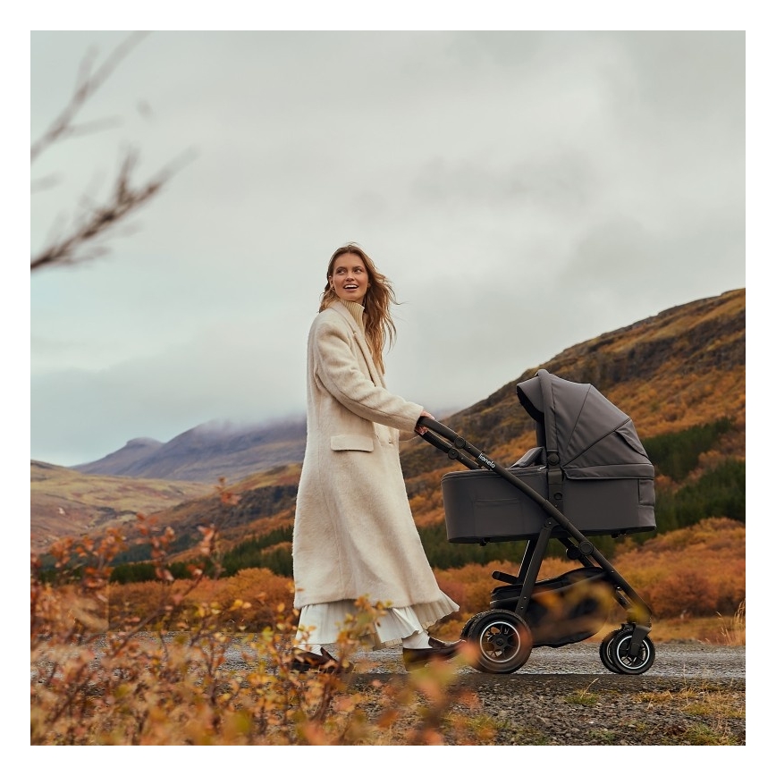 Lionelo - 2-in-1 combi-kinderwagen AMBER PLUS Grijs Grafiet