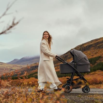 Lionelo - Combinatiekinderwagen 2-in-1 AMBER PLUS Grijs Grafiet