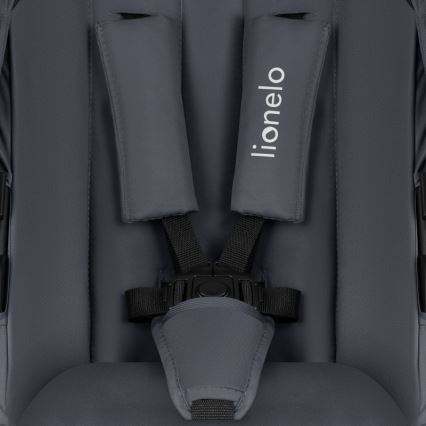 Lionelo - Combinatiekinderwagen 2-in-1 AMBER PLUS Grijs Grafiet