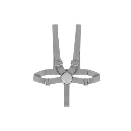 Lionelo - Kinder-eetstoel 2-in-1 DALIA wit/grijs