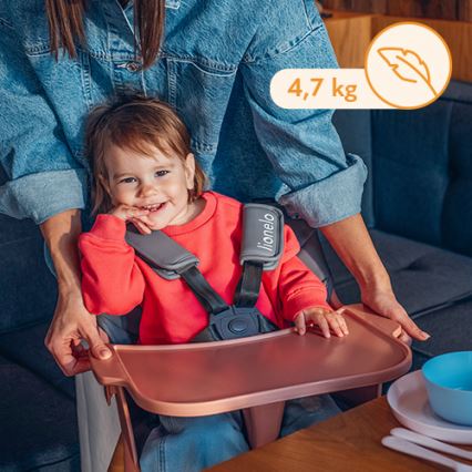 Lionelo - Kinderstoel 2-in-1 KOEN Pink Rose