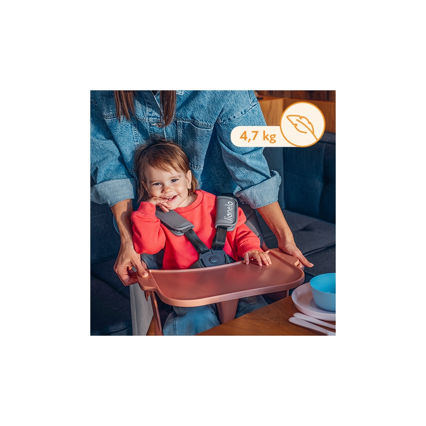 Lionelo - Kinderstoel 2-in-1 KOEN Pink Rose