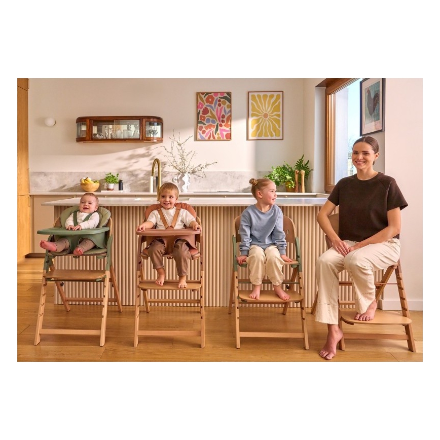 Lionelo - Kinderstoel 3-in-1 MEGAN Green Wood