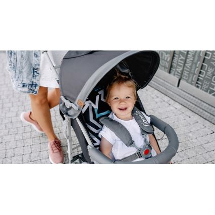 Lionelo - Opvouwbare buggy ELIA grijs