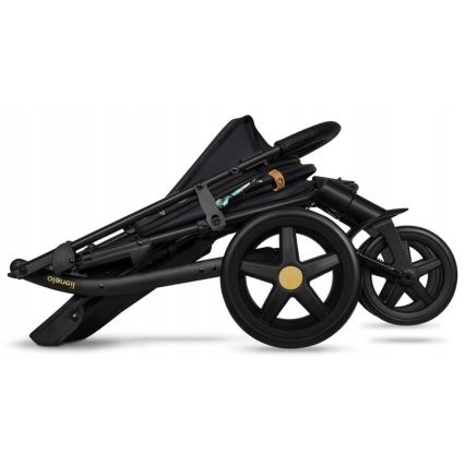 Lionelo - Sportieve kinderwagen ANNET PLUS Golden Moments