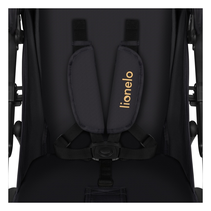 Lionelo - Sportieve kinderwagen ANNET TOUR Golden Moments