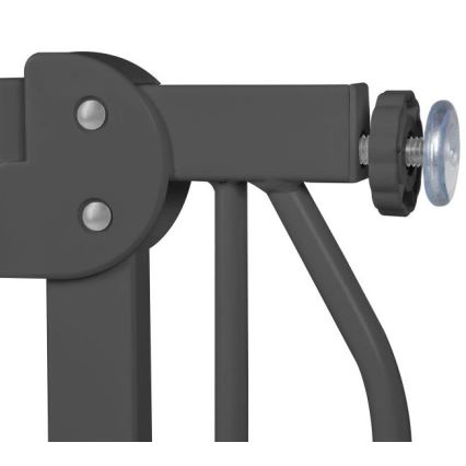 Lionelo - Veiligheidshek TRUUS SLIM zwart/beige