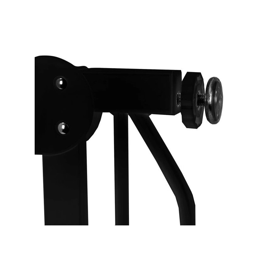 Lionelo - Veiligheidshekje TRUUS SLIM zwart