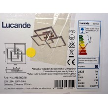 Lucande - Dimbare LED plafondlamp AVILARA LED/52W/230V
