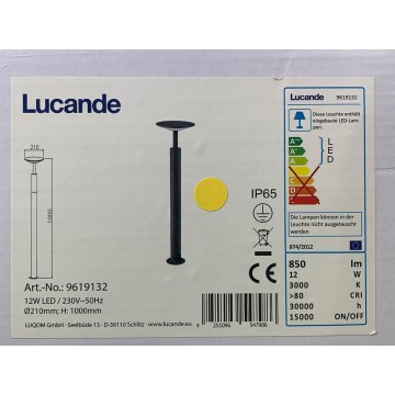 Lucande - LED Buitenlamp FENIA LED/12W/230V IP65