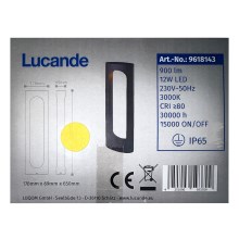 Lucande - LED Buitenlamp FENTI LED/12W/230V IP65