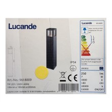 Lucande - LED Buitenlamp NICOLA LED/7W/230V IP54