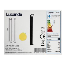 Lucande - LED Buitenlamp TINNA LED/6,3W/230V IP65
