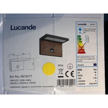 Lucande - LED Buitenwandlamp met sensor LIGNUS LED/14W/230V IP54