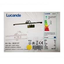Lucande - LED Schilderijverlichting DIMITRIJ LED/12W/230V