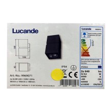 Lucande - LED Wandlamp voor buiten GABRIELA 2xLED/9,5W/230V IP54