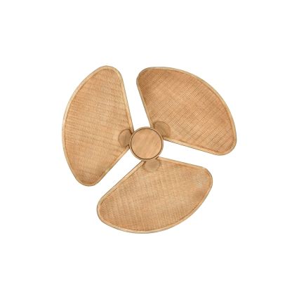 Lucci Air 21325549 - LED-dimbare plafondventilator SABLE 1xGX53/12W/230V 3000/4000/5000K Ø 91,5 cm bruin + afstandsbediening