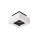 Lucide 09119/06/31 - Dimbare LED Spot XIRAX 1xGU10/5W/230V