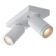 Lucide 09930/10/31 - Dimbare LED Spot TAYLOR 2xGU10/5W/230V IP44