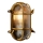 Lucide 11891/20/02 - Wandlamp voor buiten DUDLEY 1xE27/40W/230V IP65 goud