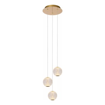 Lucide 13499/13/60 - Dimbare LED hanglamp aan een koord CINTRA 3xLED/4,7W/230V goud