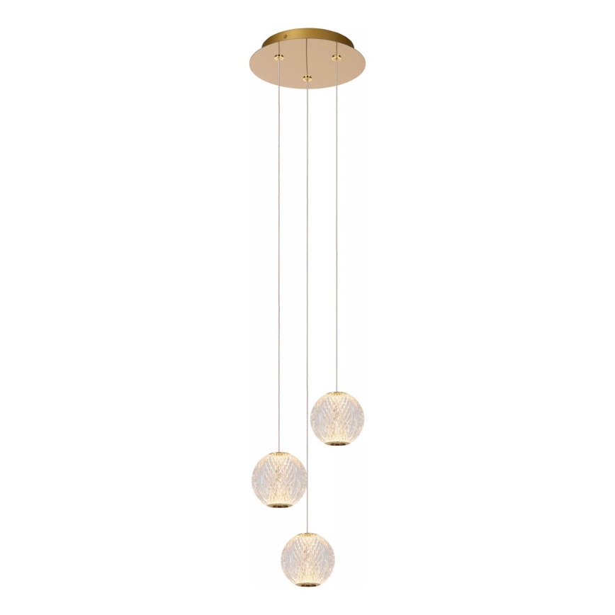 Lucide 13499/13/60 - Dimbare LED hanglamp aan een koord CINTRA 3xLED/4,7W/230V goud