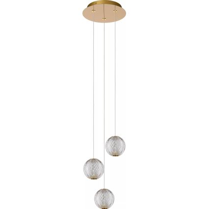 Lucide 13499/13/60 - Dimbare LED hanglamp aan een koord CINTRA 3xLED/4,7W/230V goud