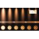 Lucide 17906/16/31 - LED Dimmable point licht LANDA 3xGU10/5W/230V wit