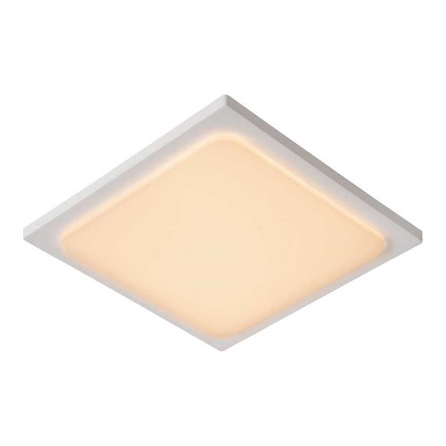 Lucide 28858/25/31 - LED Badkamerverlichting ORAS LED/20W/230V wit IP54