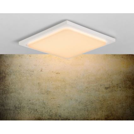 Lucide 28858/25/31 - LED Badkamerverlichting ORAS LED/20W/230V wit IP54