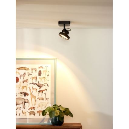 Lucide 31930/12/30 - LED Spot TALA LED 1xG53/12W/230V/12V zwart