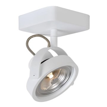 Lucide 31930/12/31 - Dimbare LED Spot TALA LED 1xG53/12W/230V/12V
