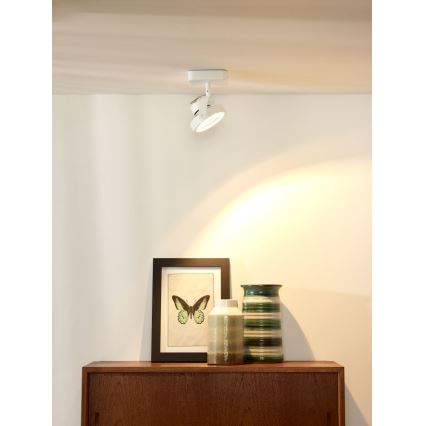 Lucide 31930/12/31 - Dimbare LED Spot TALA LED 1xG53/12W/230V/12V