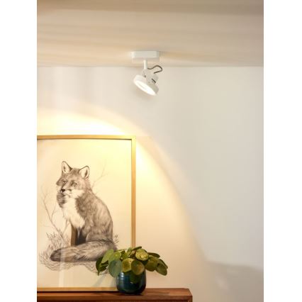 Lucide 31930/12/31 - Dimbare LED Spot TALA LED 1xG53/12W/230V/12V